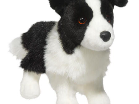 Zippy the Border Collie Online now